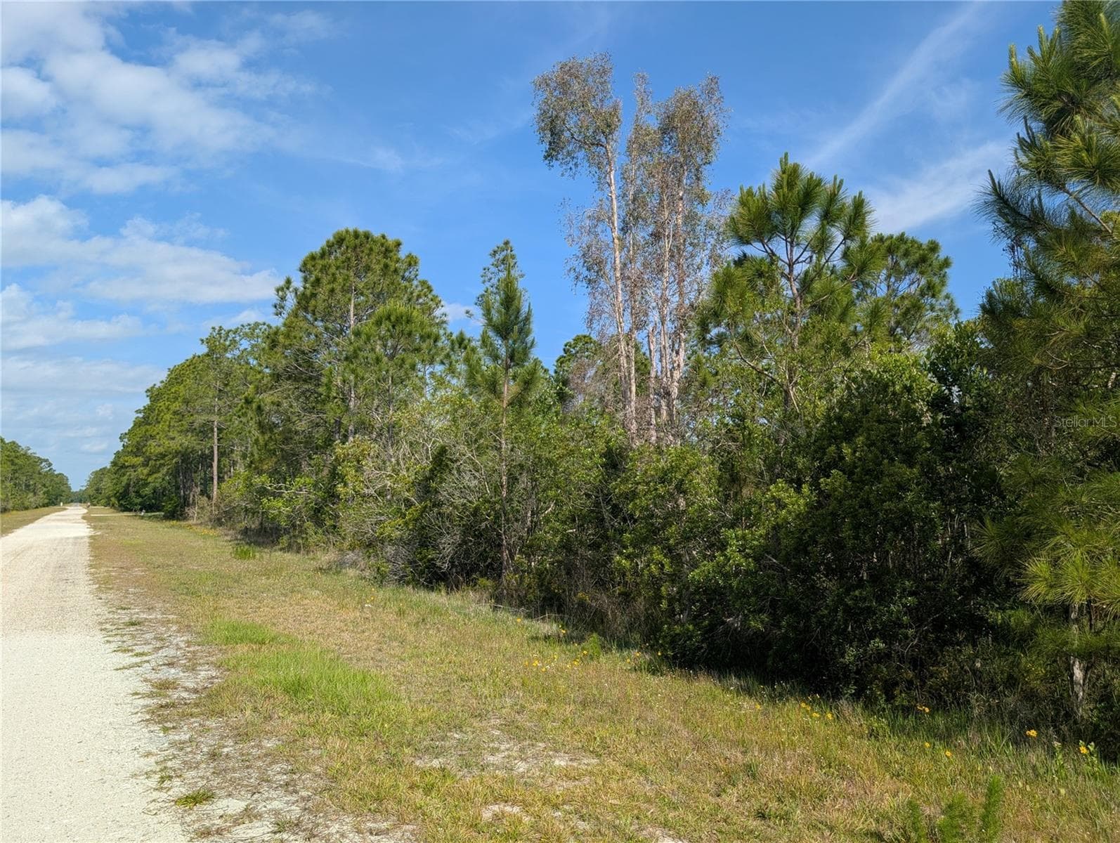 Land at 704 ORCHID DR, INDIAN LAKE ESTATES, photo 6 of 46
