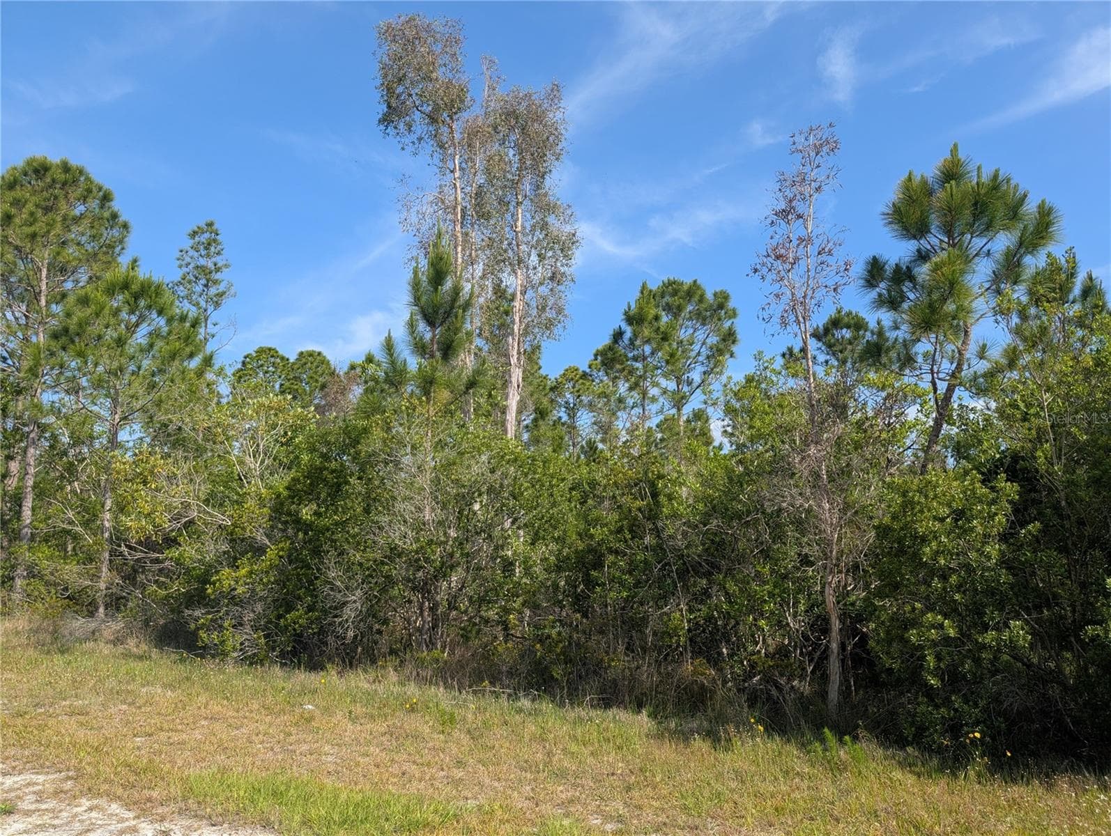 Land at 704 ORCHID DR, INDIAN LAKE ESTATES, photo 7 of 46