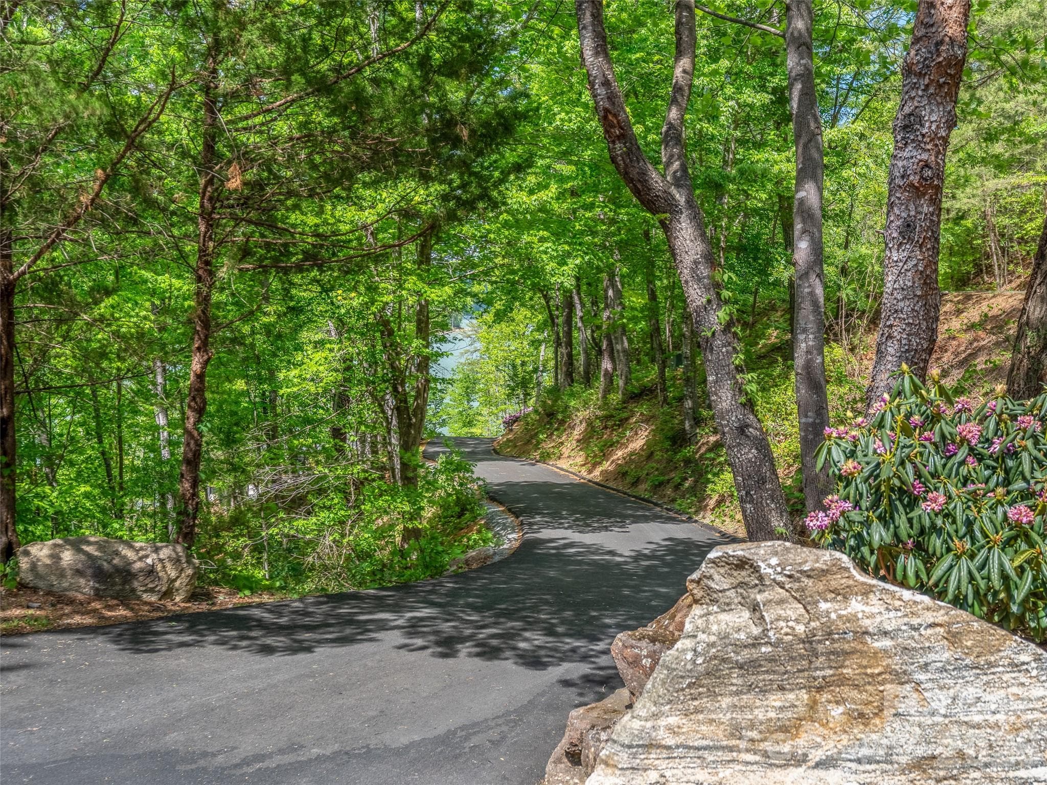 Acreage at Lake Lure, photo 3 of 20