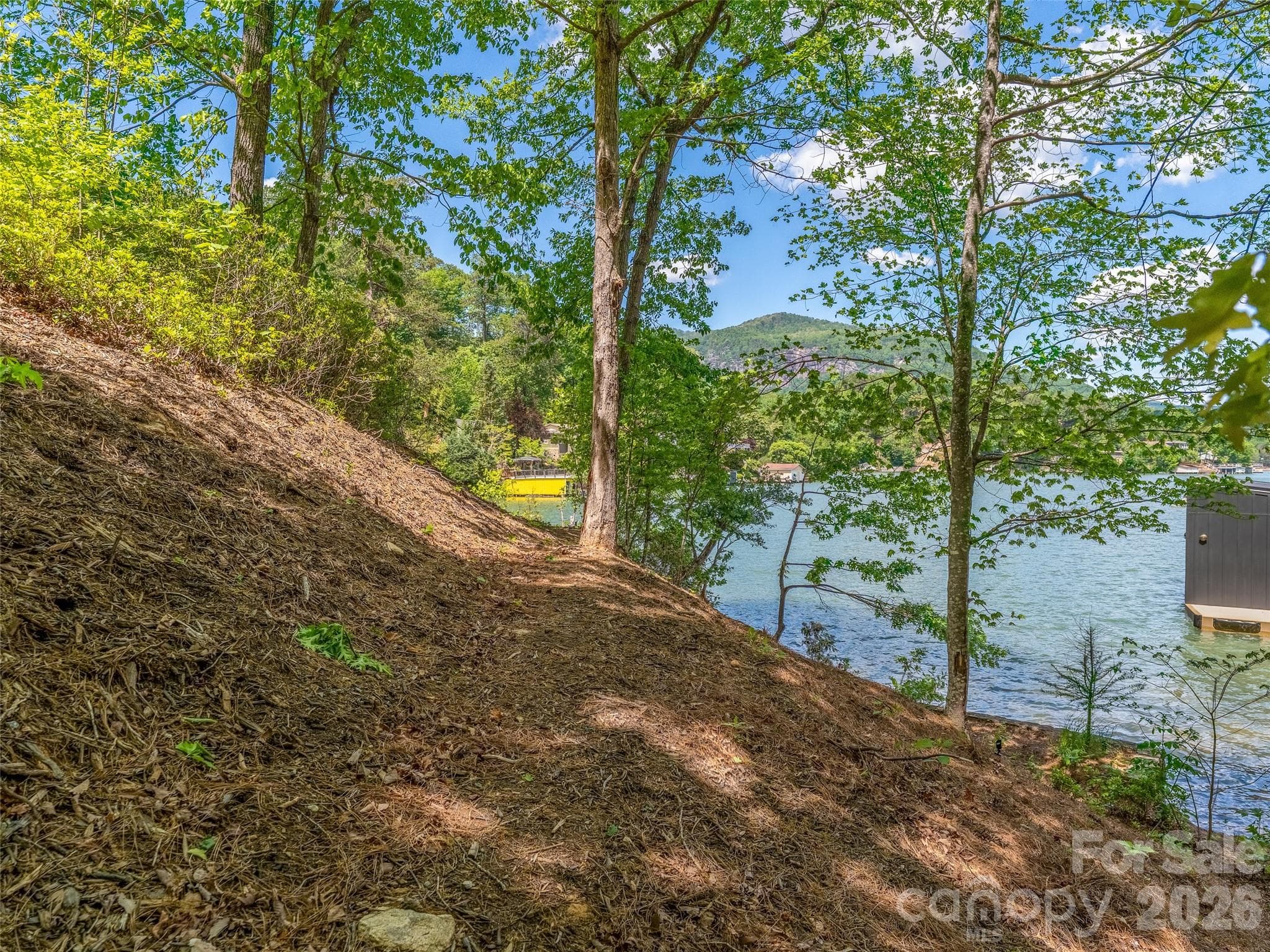 Acreage at Lake Lure, photo 10 of 20