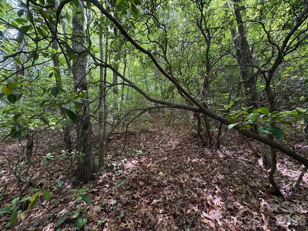 Multiple Building Spots - Lot 51B Wilderness Drive, Marion