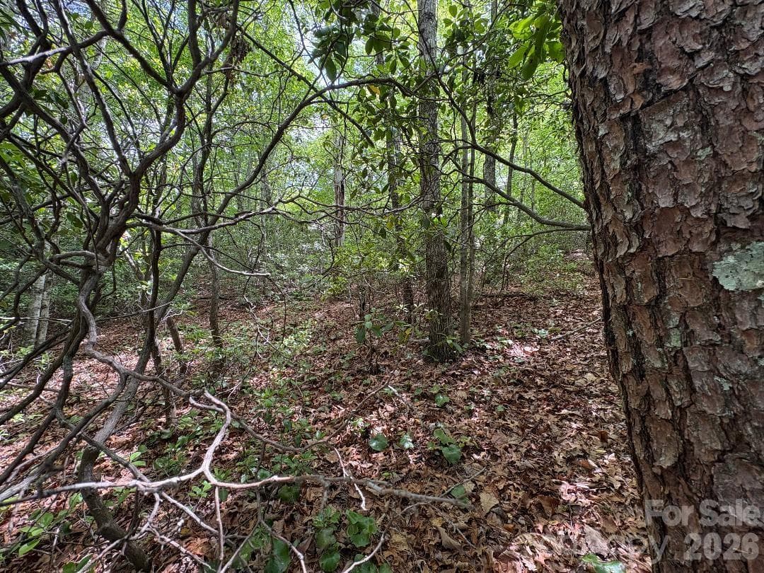 Lot at Lot 51B Wilderness Drive, Marion, photo 10 of 15