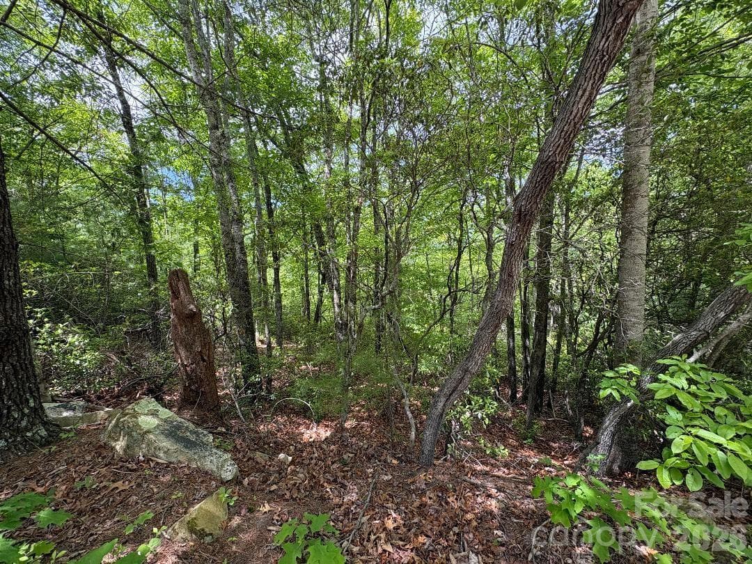 Lot at Lot 51B Wilderness Drive, Marion, photo 12 of 15