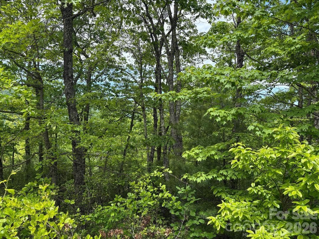 Views Beyond the Trees! - Lot 51B Wilderness Drive, Marion