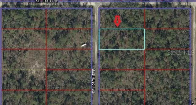 Land at 00 SE 126TH TER, DUNNELLON, photo 2 of 4