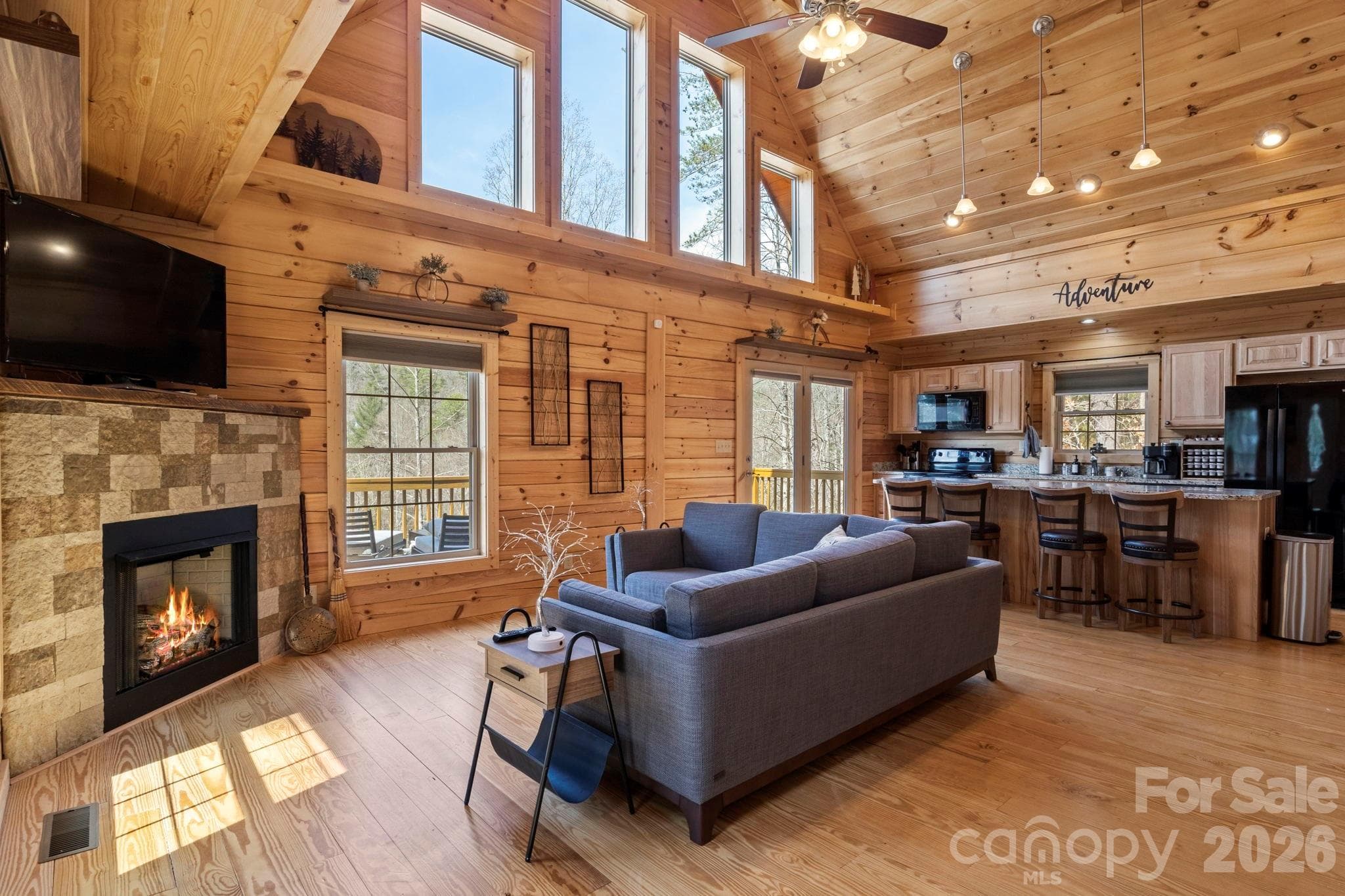 2 Story Great Room with Gas Log Fireplace - Asheville