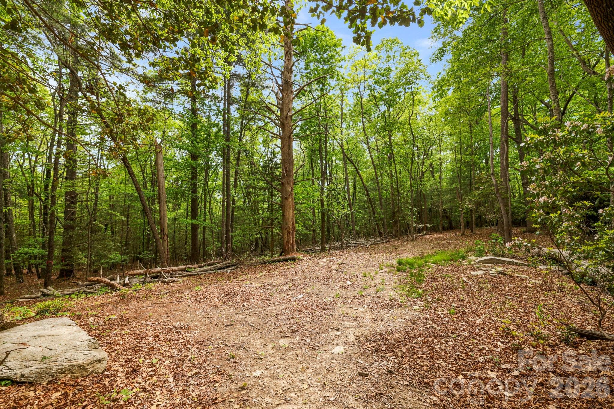 Lot at 137 Bird Song Road, Penrose, photo 15 of 23
