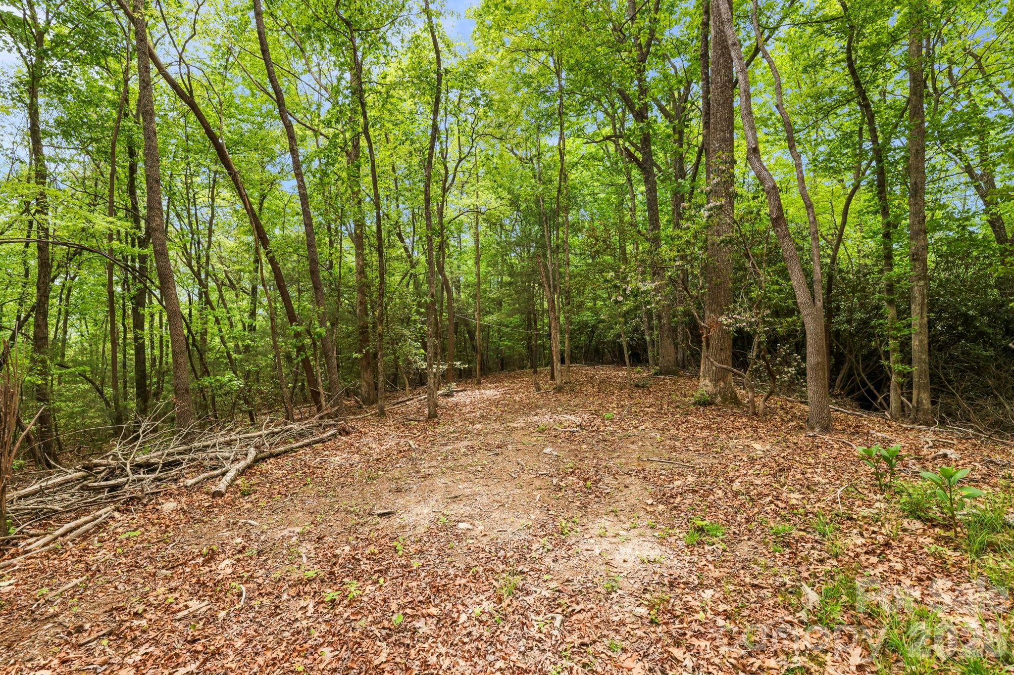 Lot at 137 Bird Song Road, Penrose, photo 16 of 23