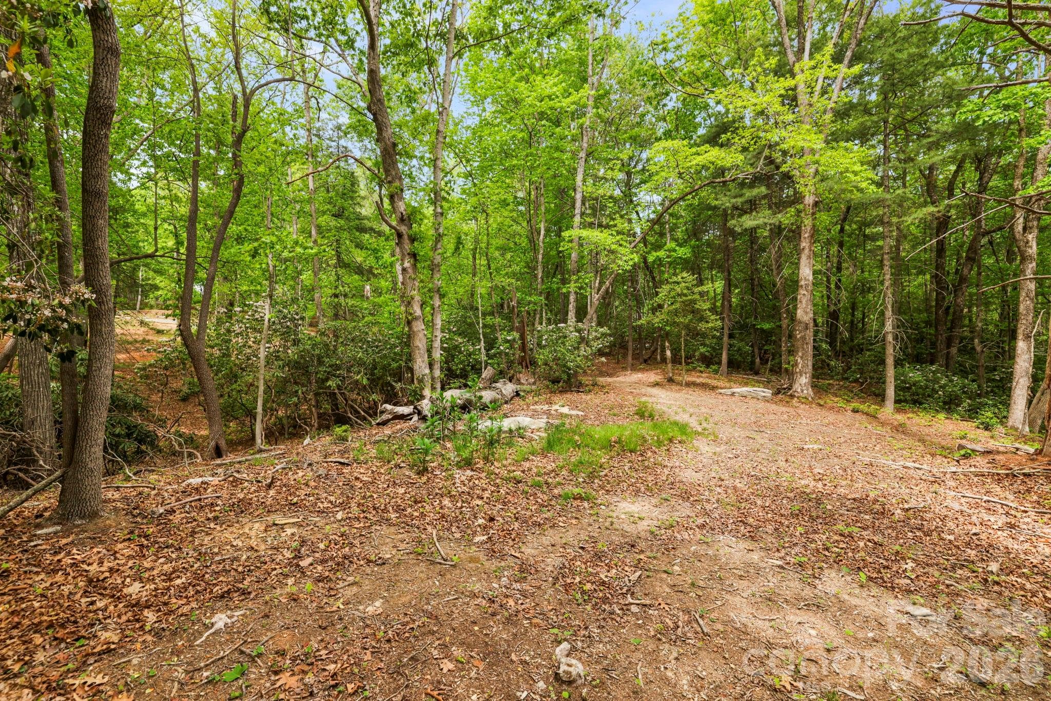 Lot at 137 Bird Song Road, Penrose, photo 17 of 23