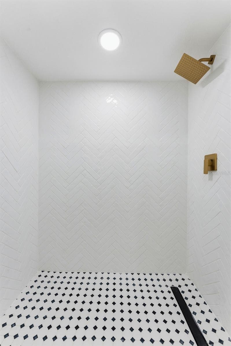 Hall Bath Shower - 3917 E EDEN ROC CIR, TAMPA