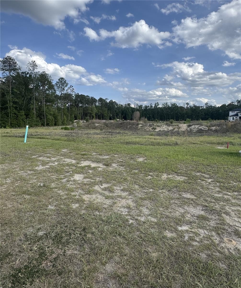 Laureate Village Lot 128 in the Sanctuary section - 5/05/26 - 14759 SW 9TH LN, NEWBERRY