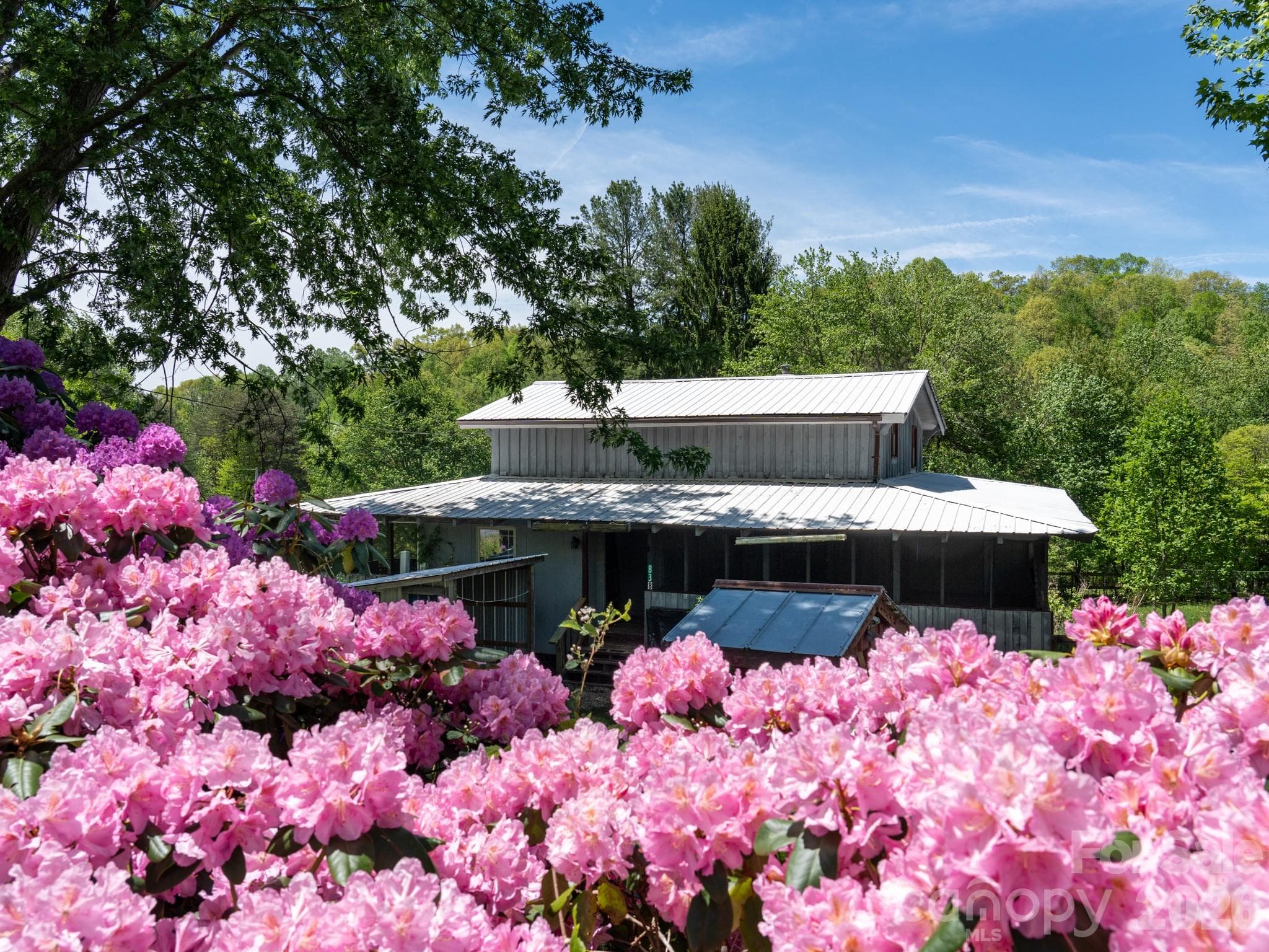 Curated landscaping surrounds this mountain gem - Clyde