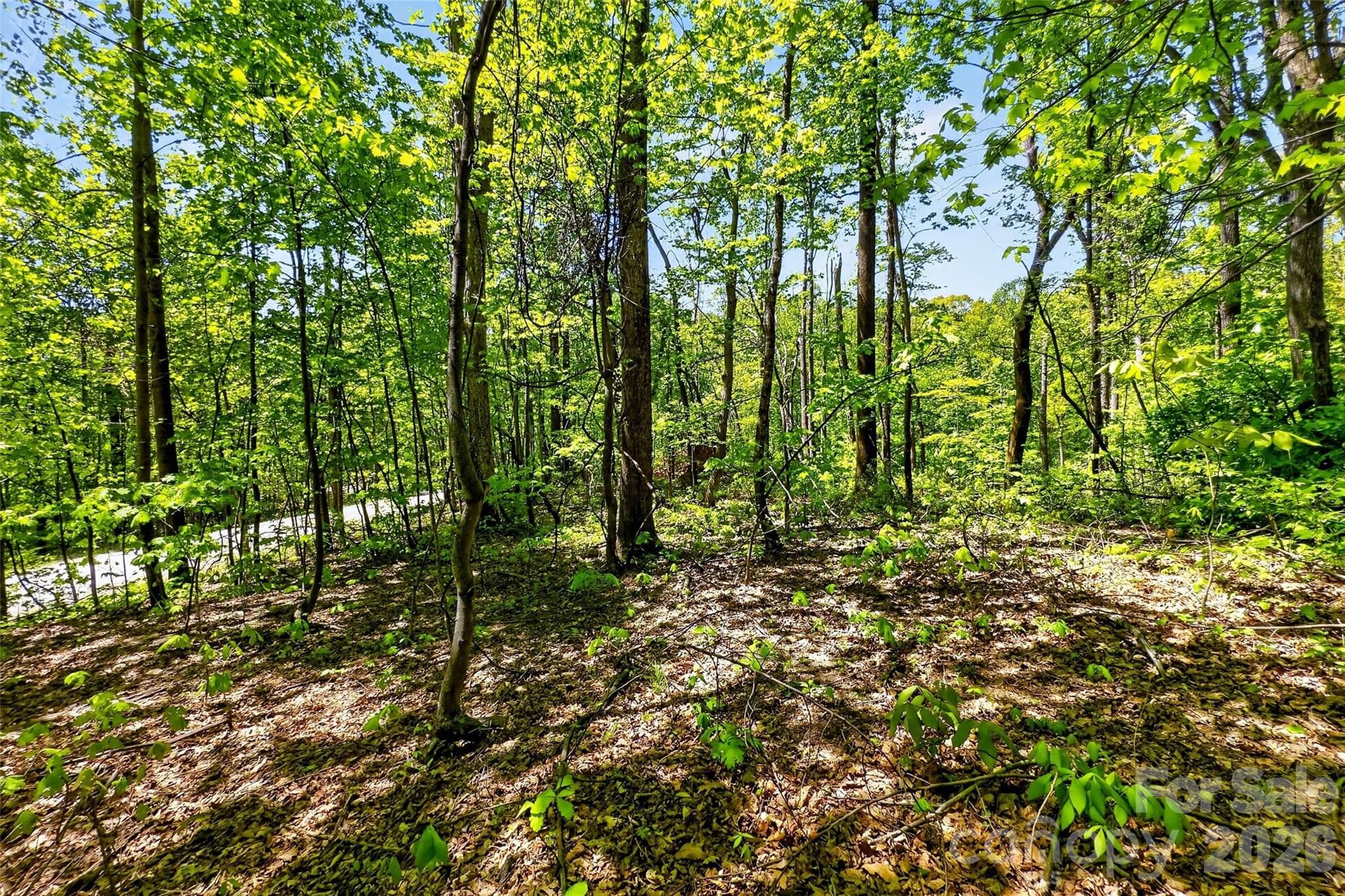 Lot at Old Fort, photo 4 of 48