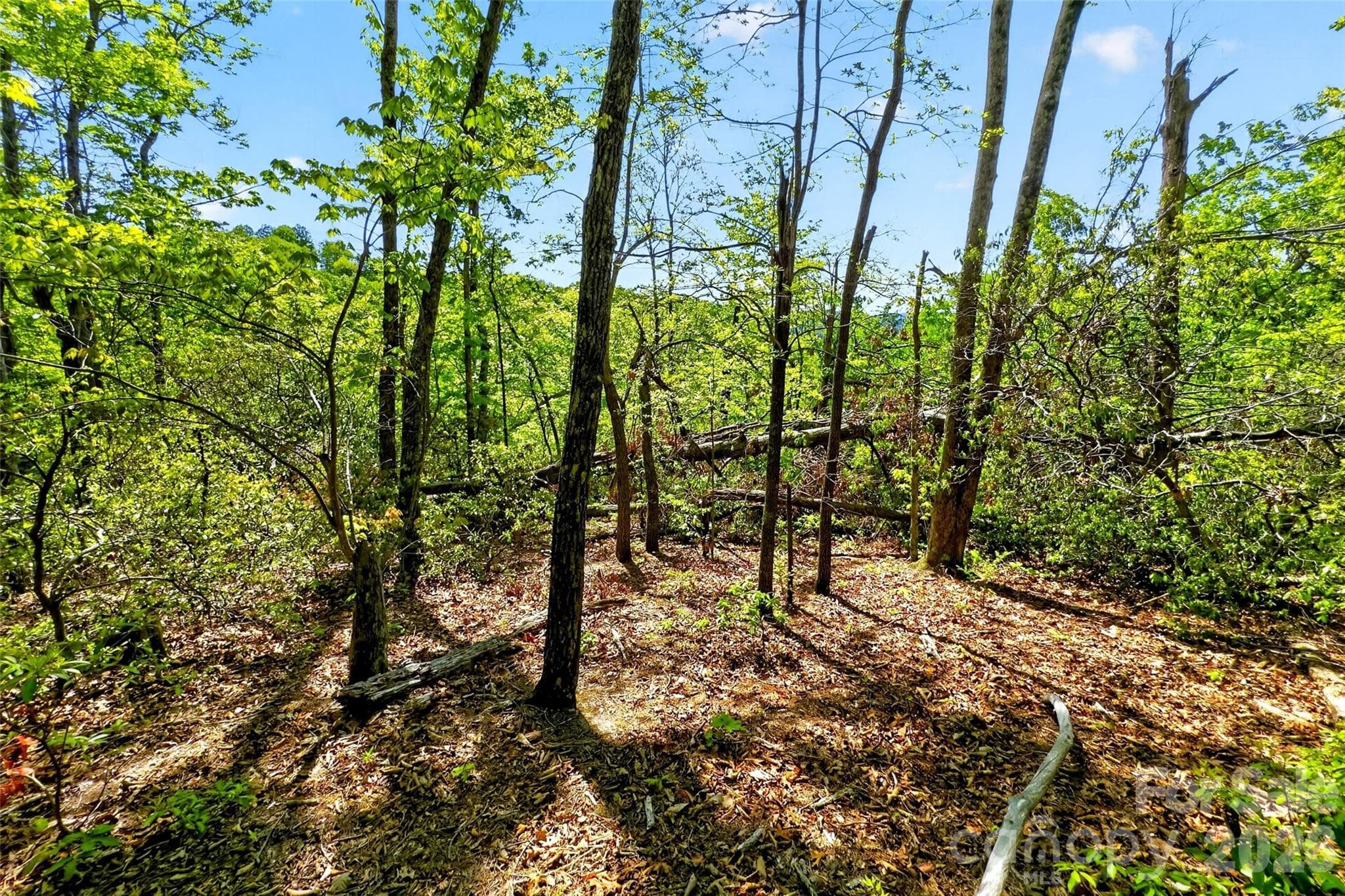 Acreage at Old Fort, photo 4 of 47