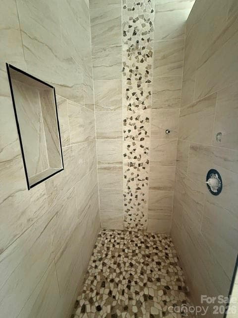 Master Shower - 5 Locust Street, Asheville