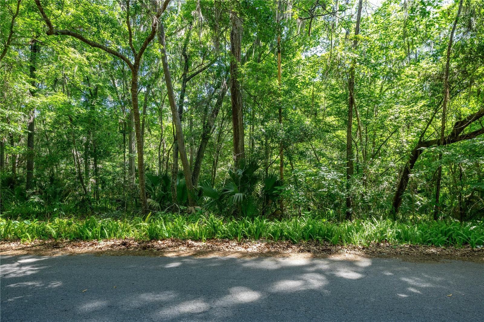 Land at SW 45TH ST, OCALA, photo 4 of 8