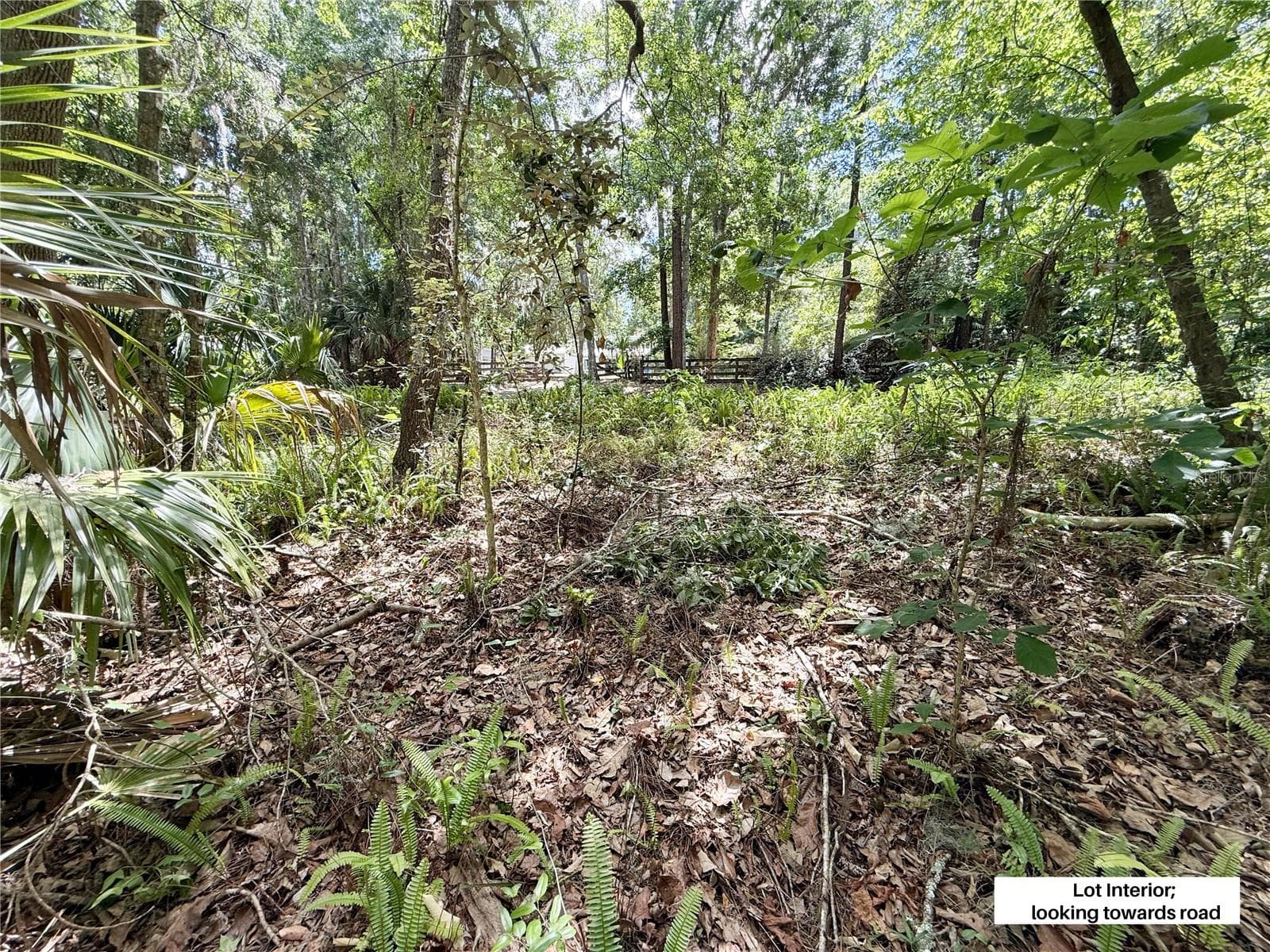 Land at SW 45TH ST, OCALA, photo 6 of 8