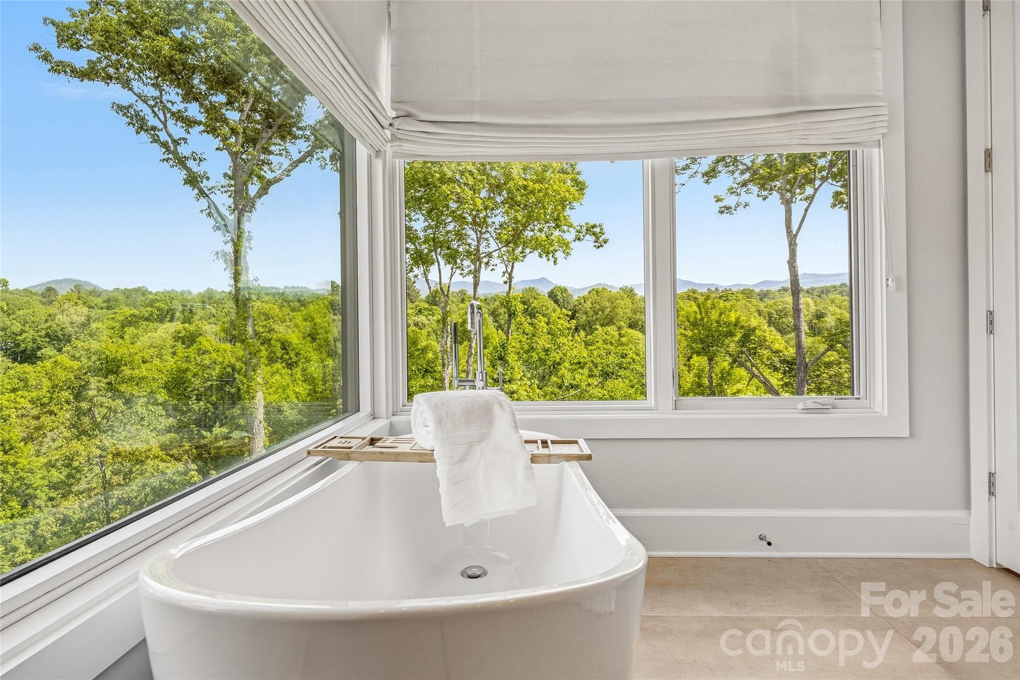 Single Family Residence at 162 Riverbend Forest Drive, Asheville, photo 18 of 39