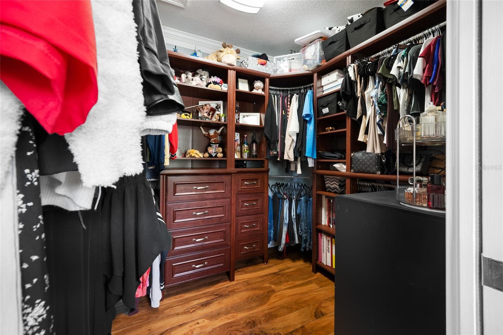 Bedroom 2 Walk-In Closet - 15314 LAKE MAGDALENE BLVD, TAMPA