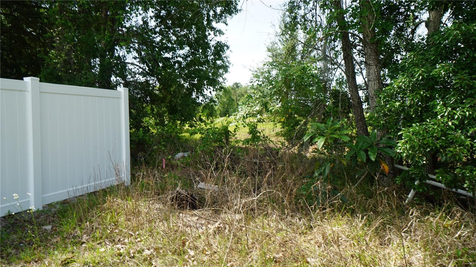 Land at MARILYN AVE, HOWEY IN THE HILLS, photo 5 of 27
