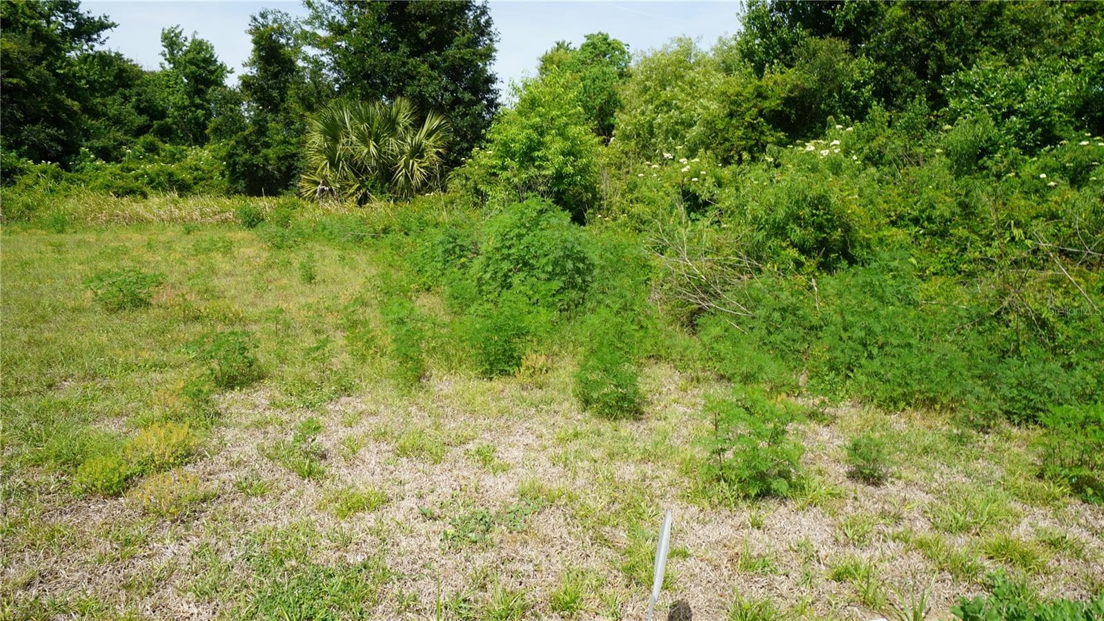 Land at MARILYN AVE, HOWEY IN THE HILLS, photo 6 of 27