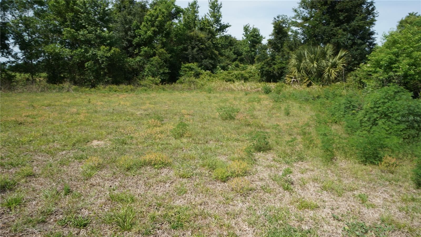 Land at MARILYN AVE, HOWEY IN THE HILLS, photo 7 of 27