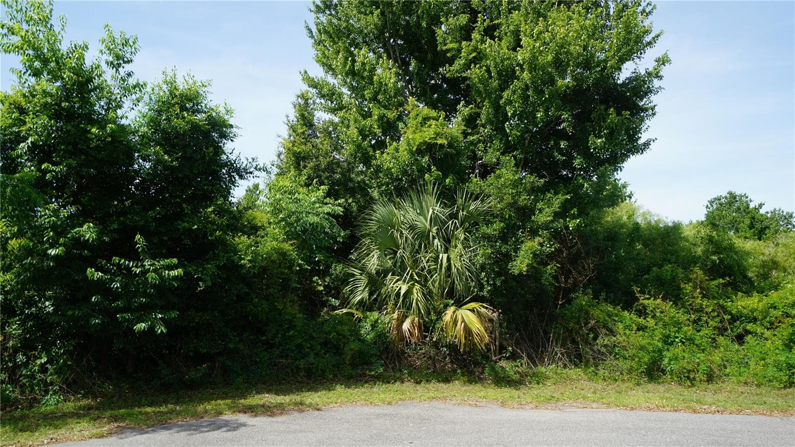 Land at MARILYN AVE, HOWEY IN THE HILLS, photo 10 of 27