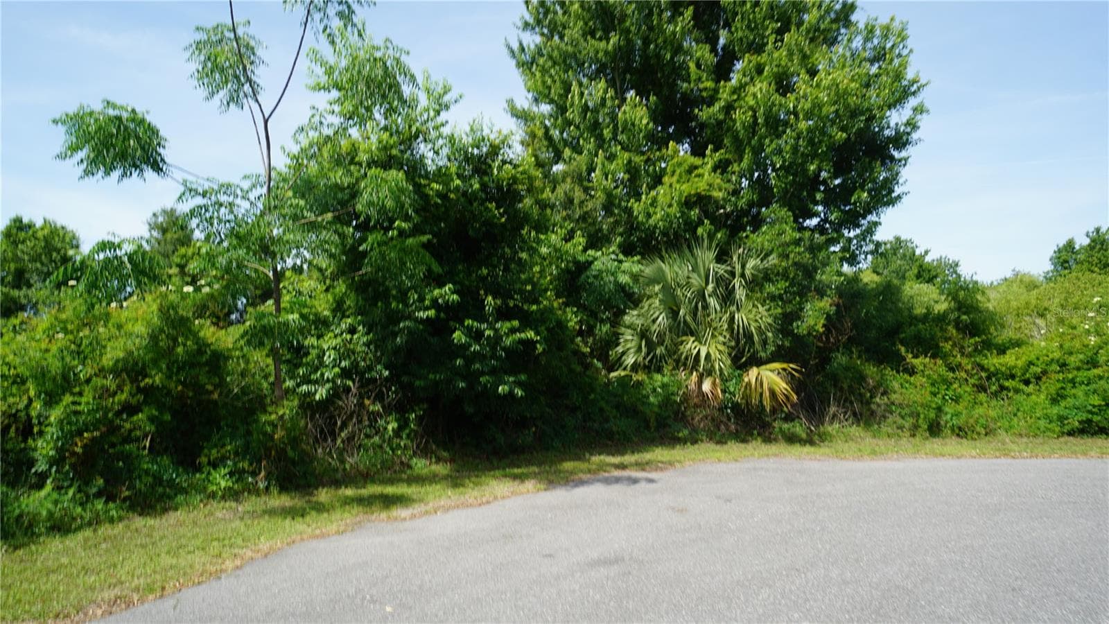 Land at MARILYN AVE, HOWEY IN THE HILLS, photo 11 of 27