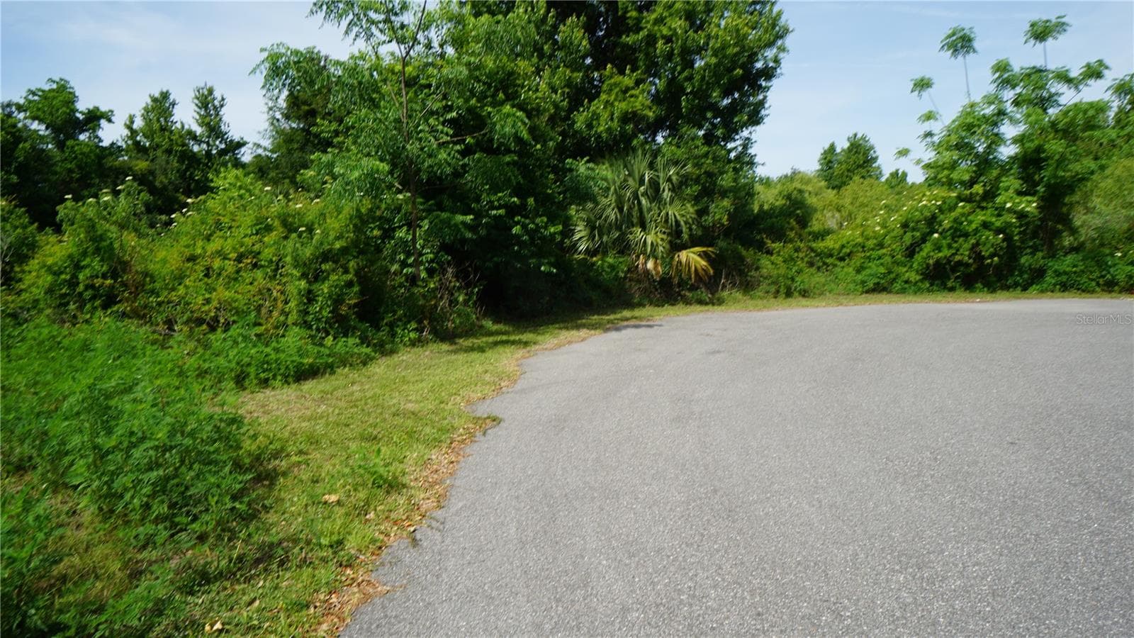 Land at MARILYN AVE, HOWEY IN THE HILLS, photo 12 of 27