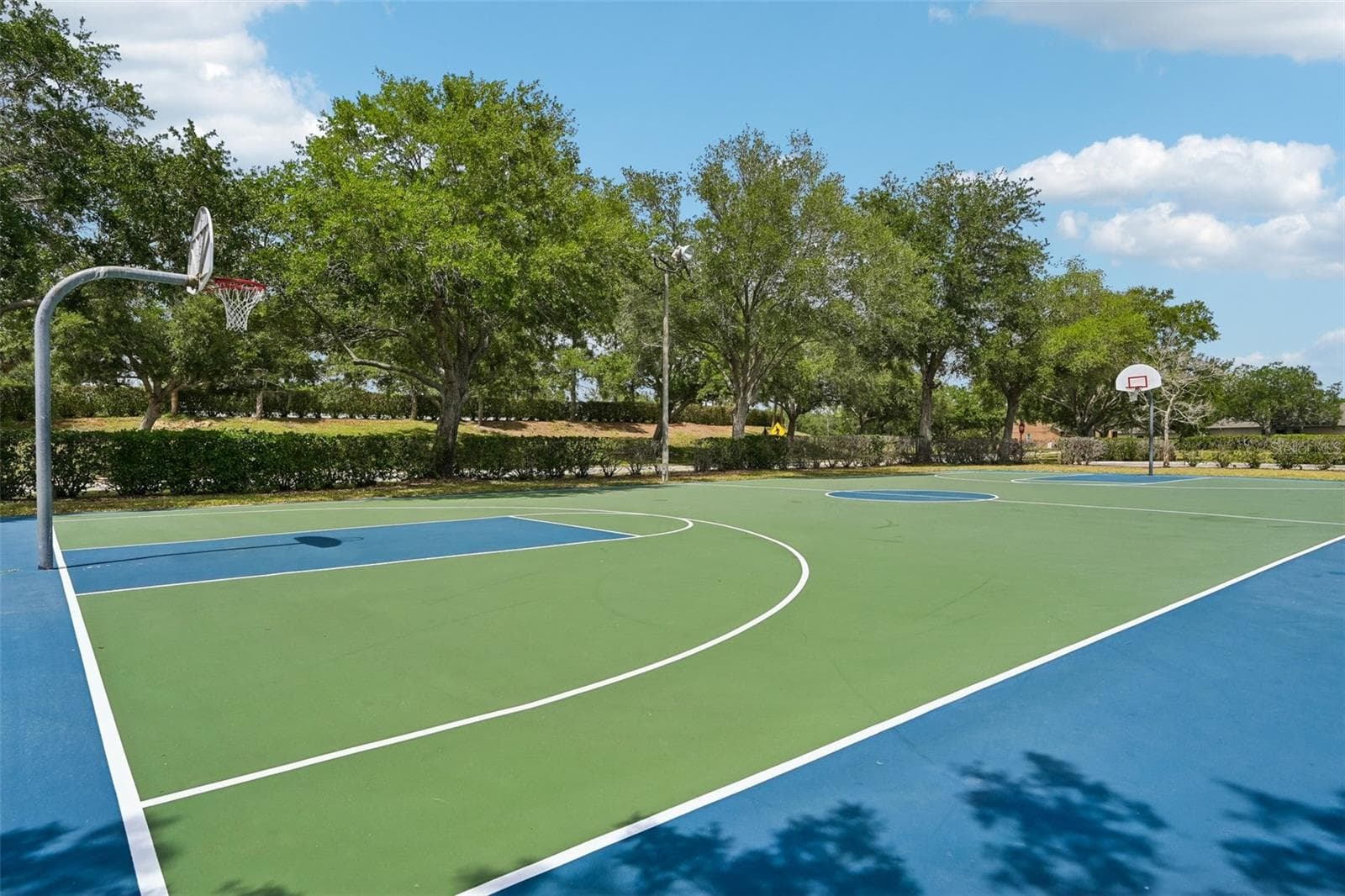 BASKETBALL COURT RECREATION - 1003 FAIRWAYCOVE LN #201, BRADENTON