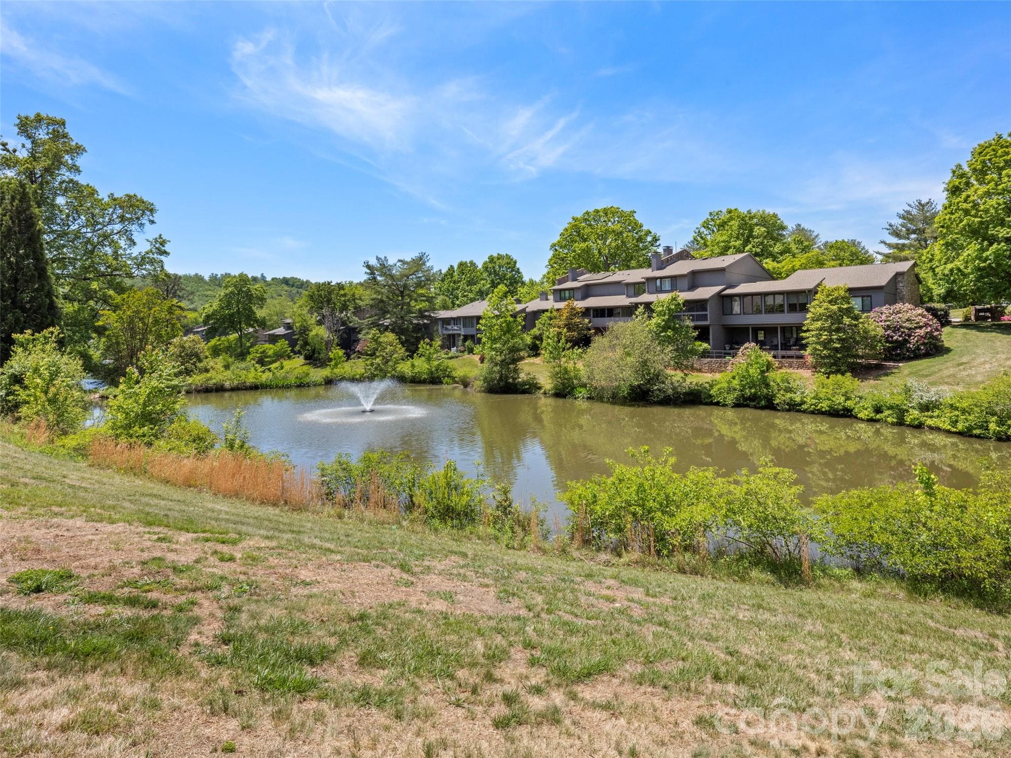 community ponds - 203 Crowfields Drive, Asheville