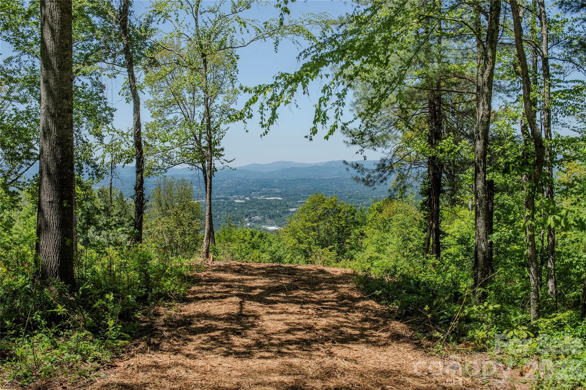 Lot at Asheville, photo 4 of 20