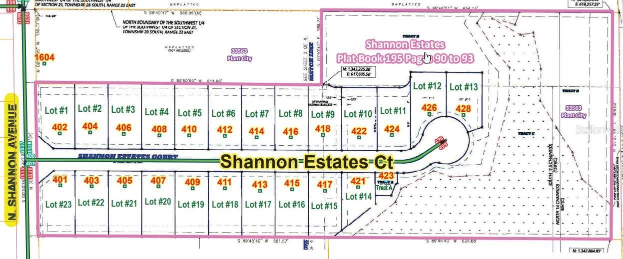 COMMUNITY PLATT - 411 SHANNON ESTATES CT, PLANT CITY