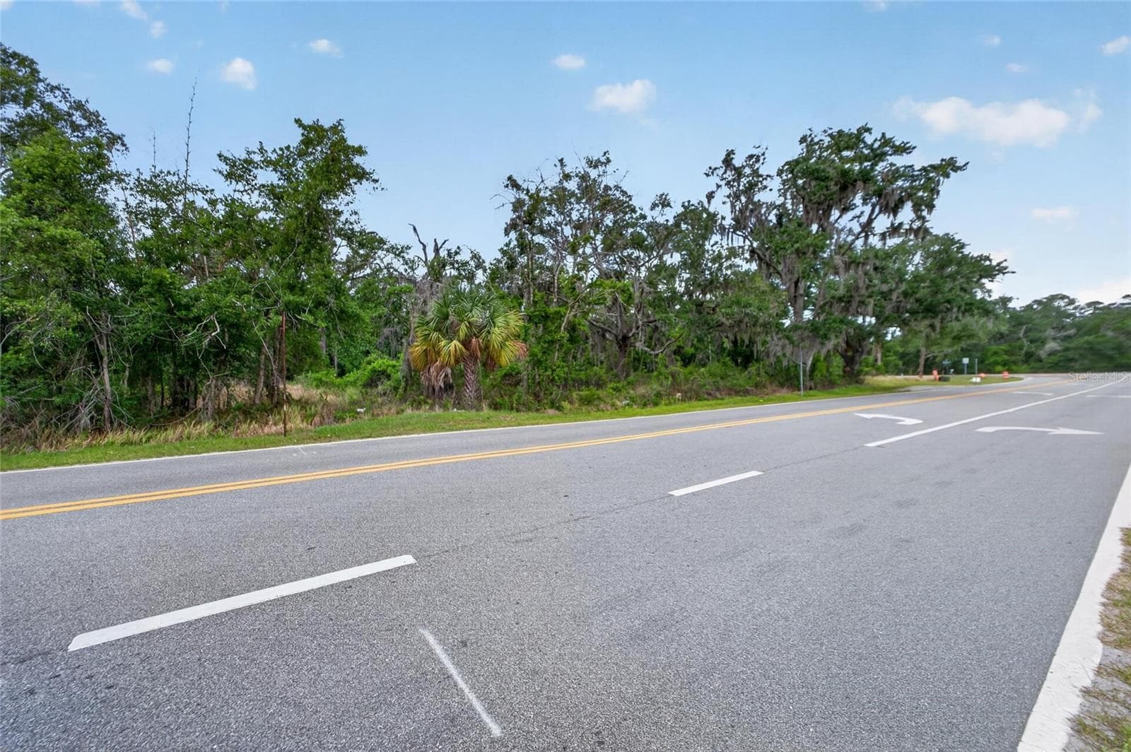 Land at 2819 SAFFOLD RD, WIMAUMA, photo 5 of 34