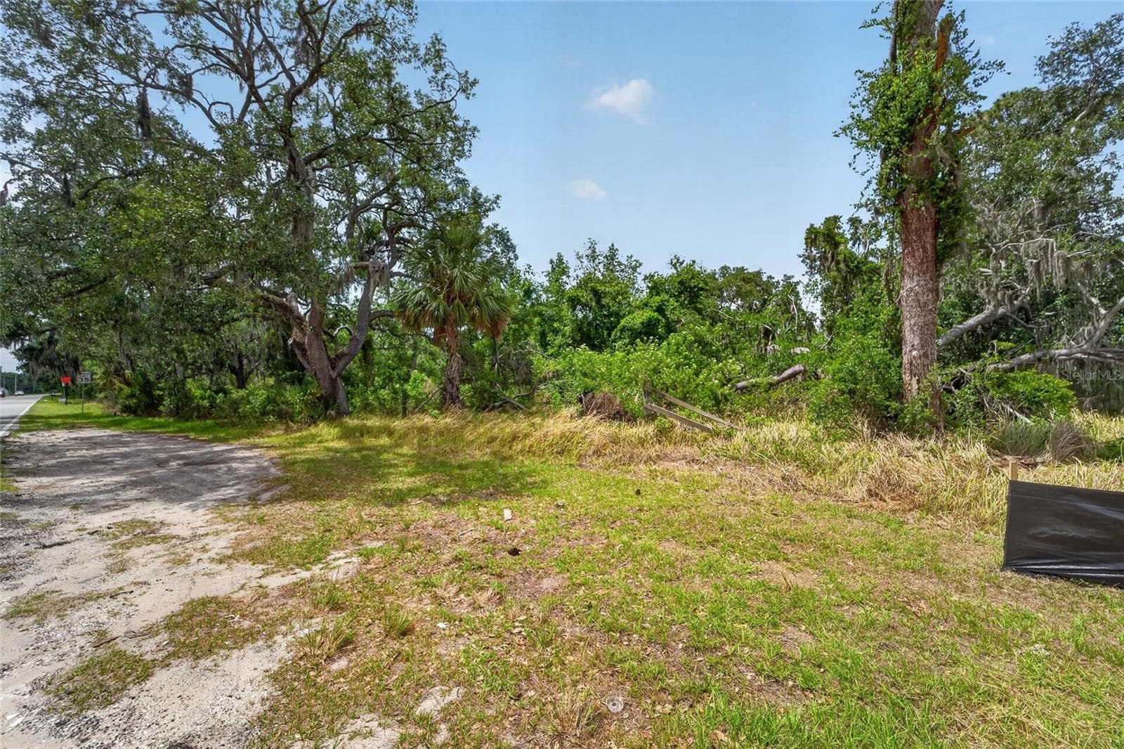 Land at 2819 SAFFOLD RD, WIMAUMA, photo 11 of 34