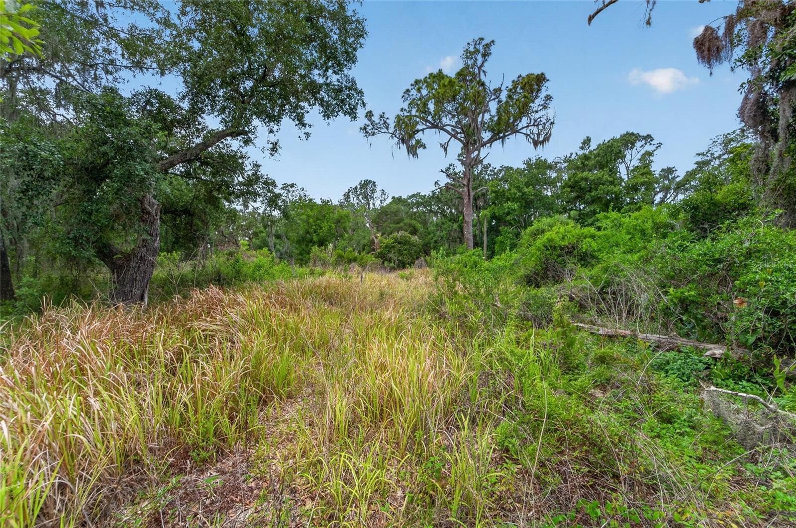 Land at 2819 SAFFOLD RD, WIMAUMA, photo 14 of 34