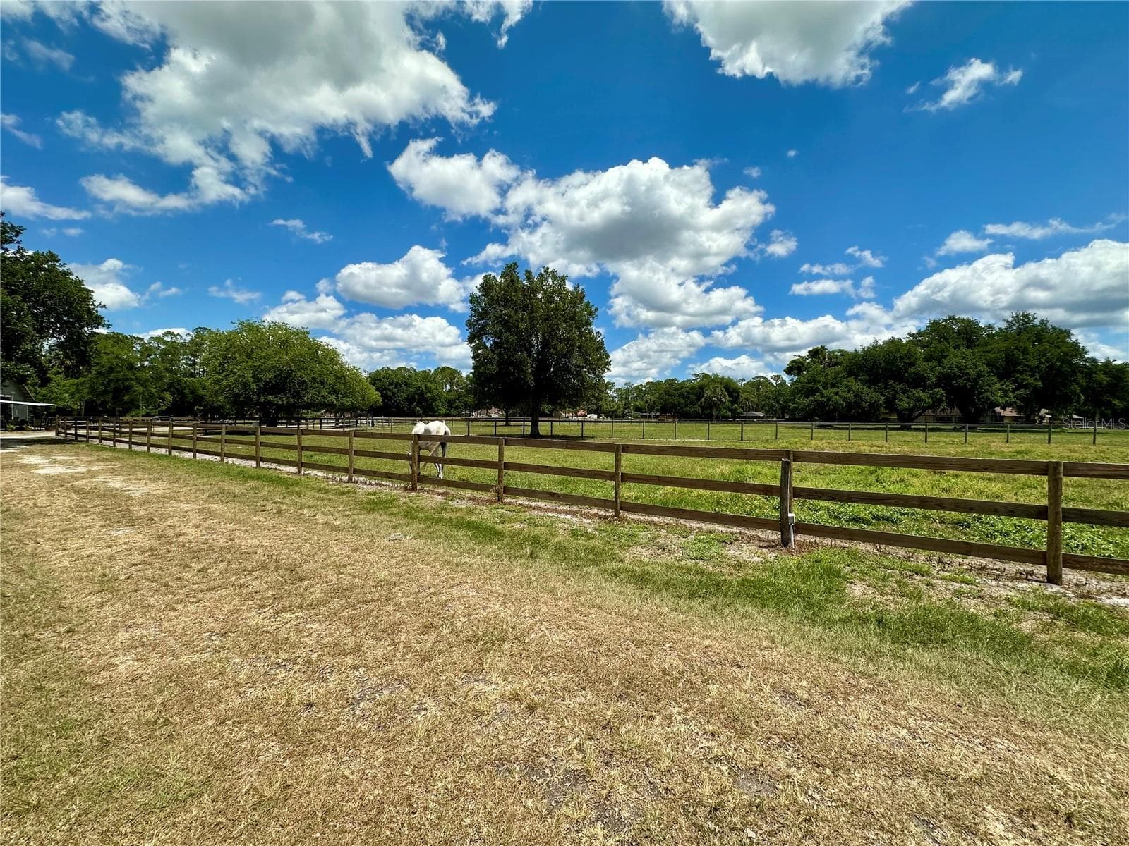 Horse pasture - 1540 STONE TRL, DELTONA