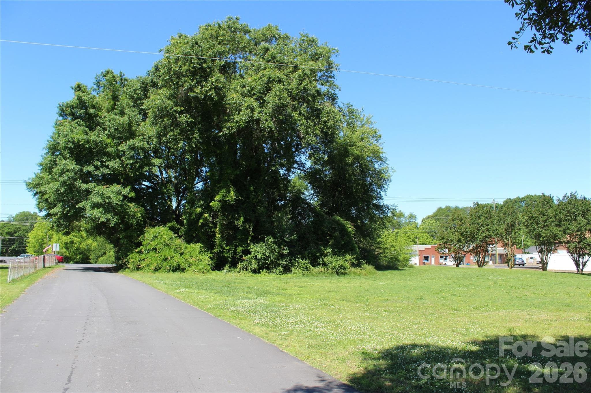 Unimproved Commercial at Rutherfordton, photo 6 of 21