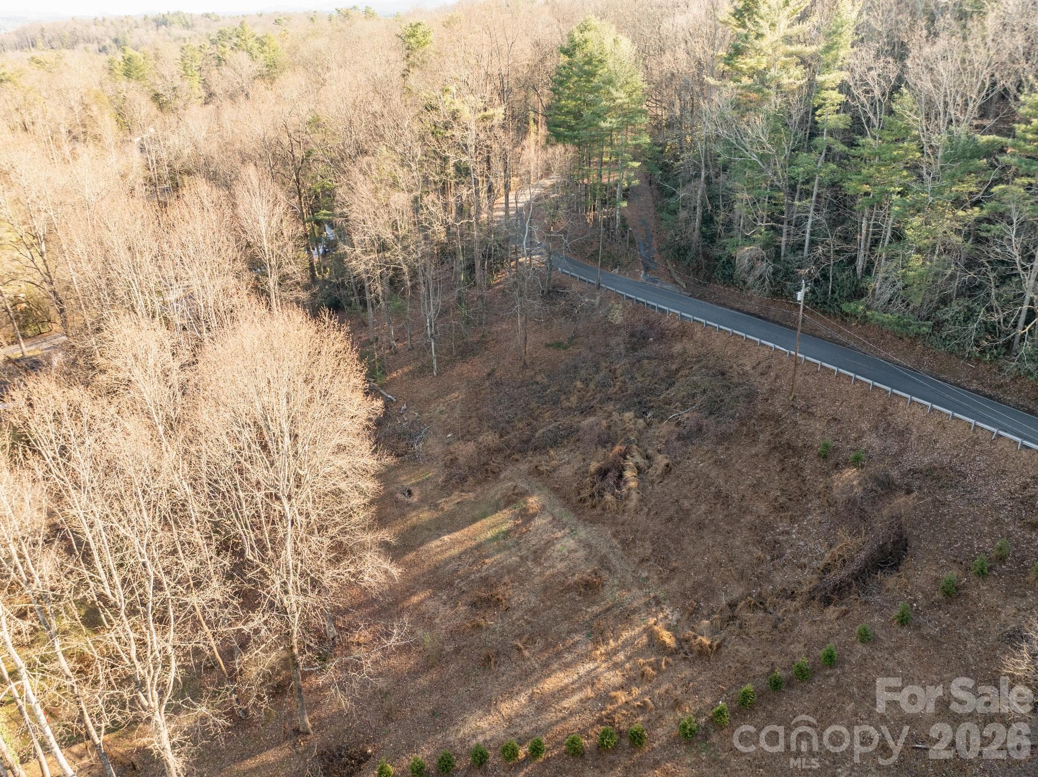 Lot at 000 Davis Mountain Road, Laurel Park, photo 6 of 6