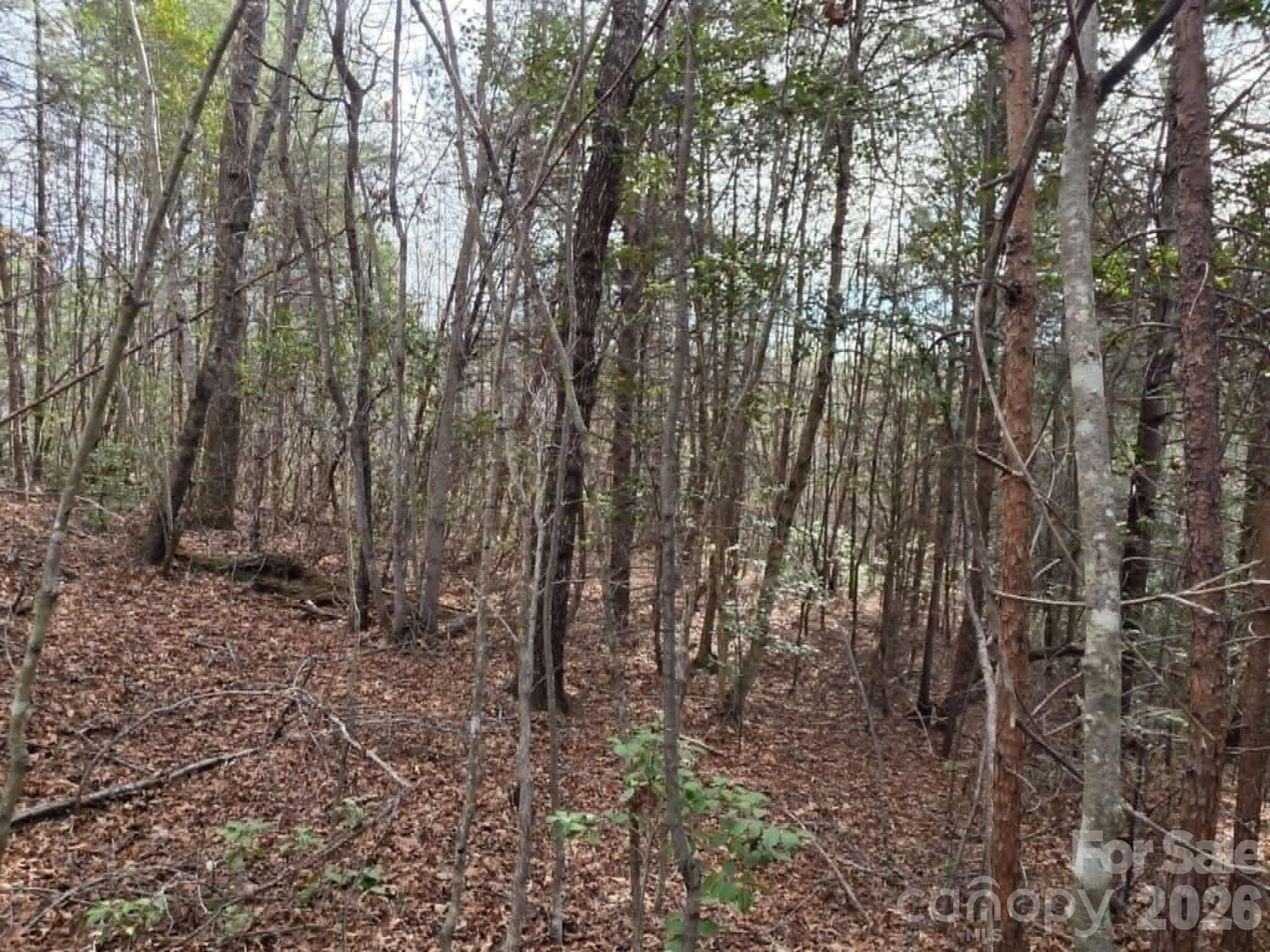 Acreage at Lot 6 Kerlee Lane, Old Fort, photo 2 of 7