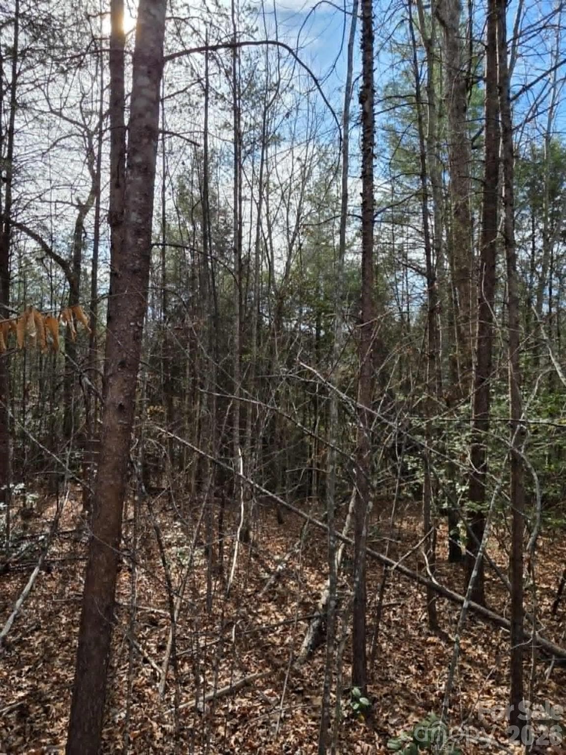 Acreage at Lot 6 Kerlee Lane, Old Fort, photo 3 of 7