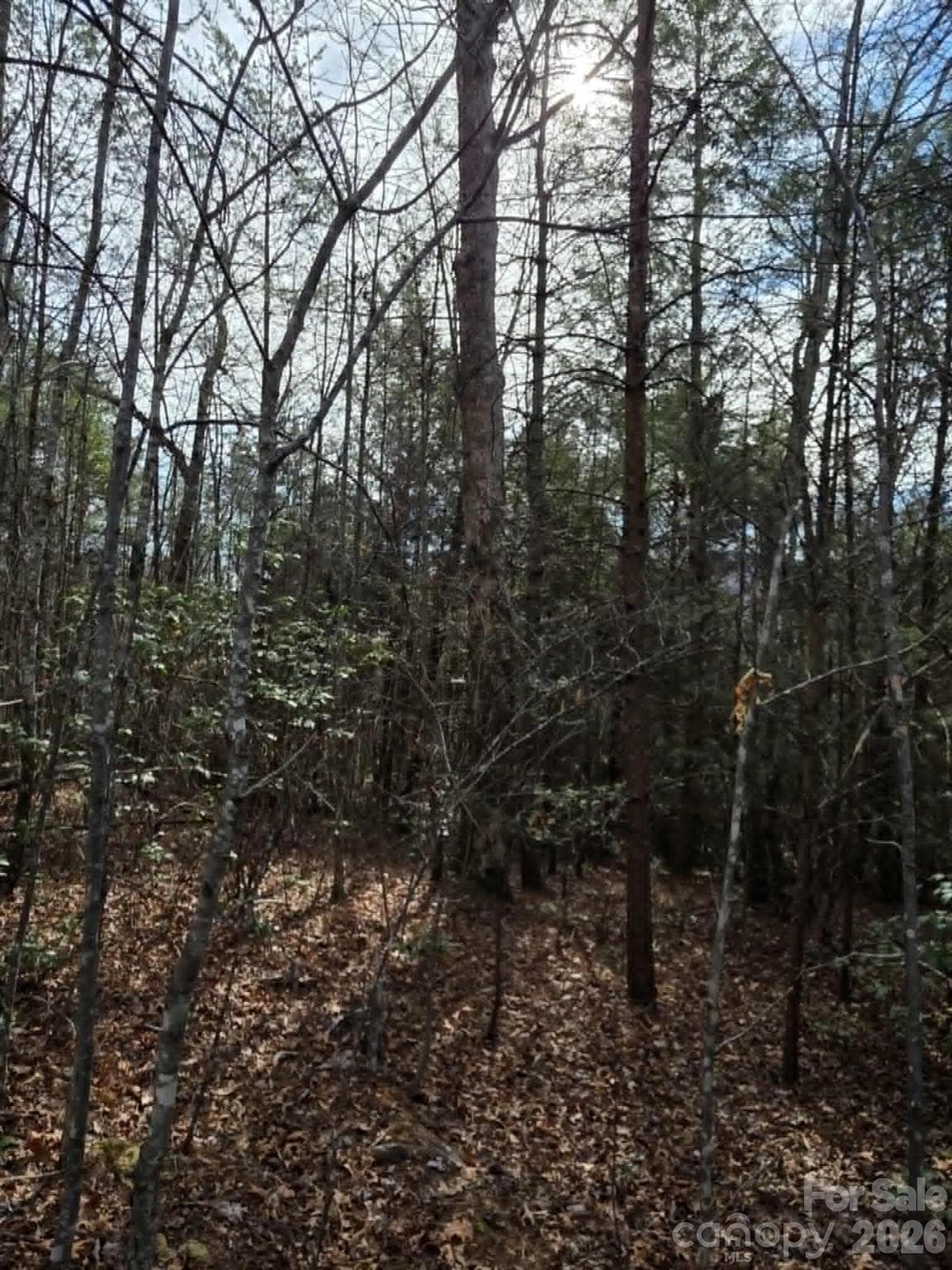 Acreage at Lot 6 Kerlee Lane, Old Fort, photo 4 of 7