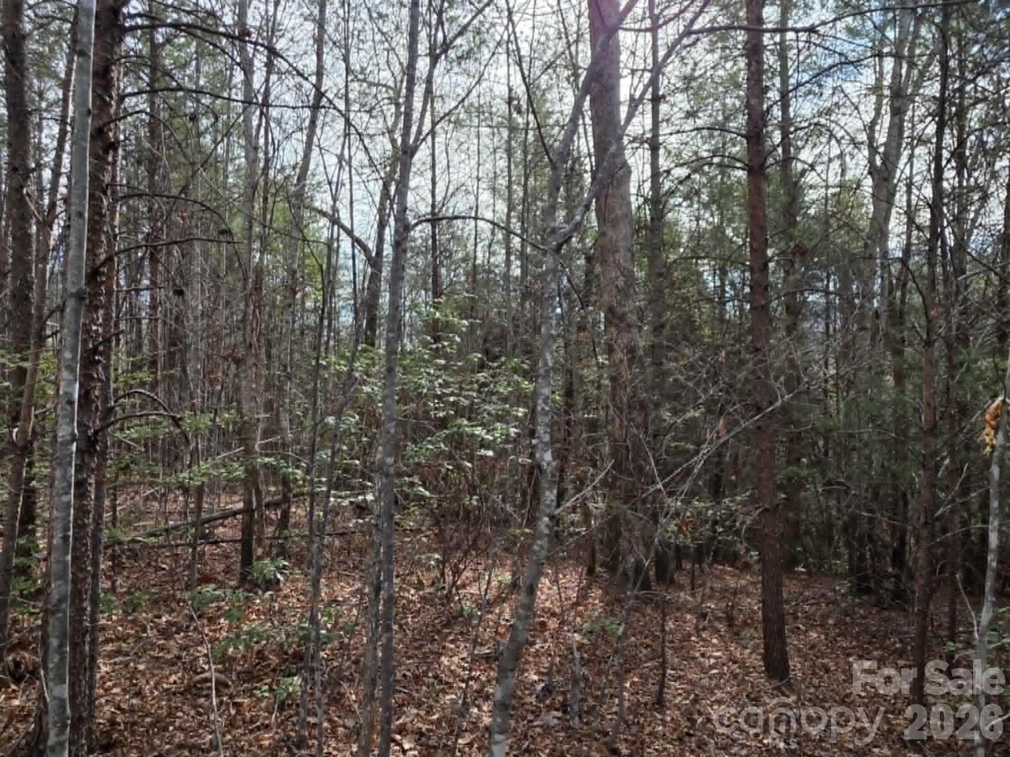 Acreage at Lot 6 Kerlee Lane, Old Fort, photo 5 of 7