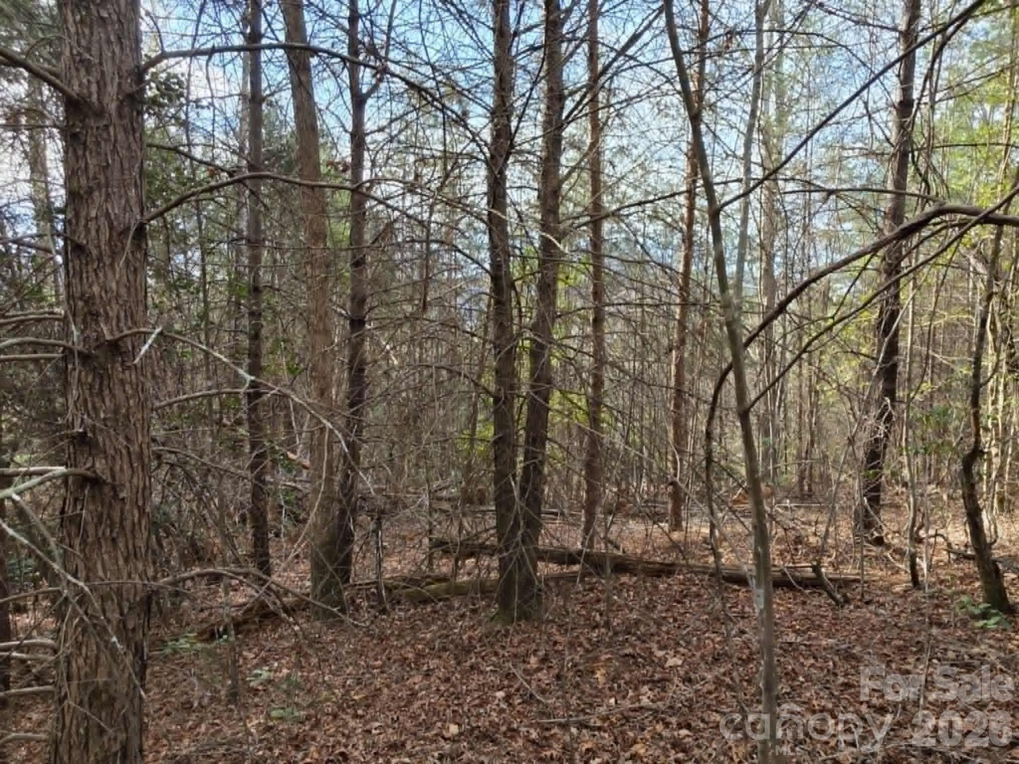 Acreage at Lot 6 Kerlee Lane, Old Fort, photo 6 of 7