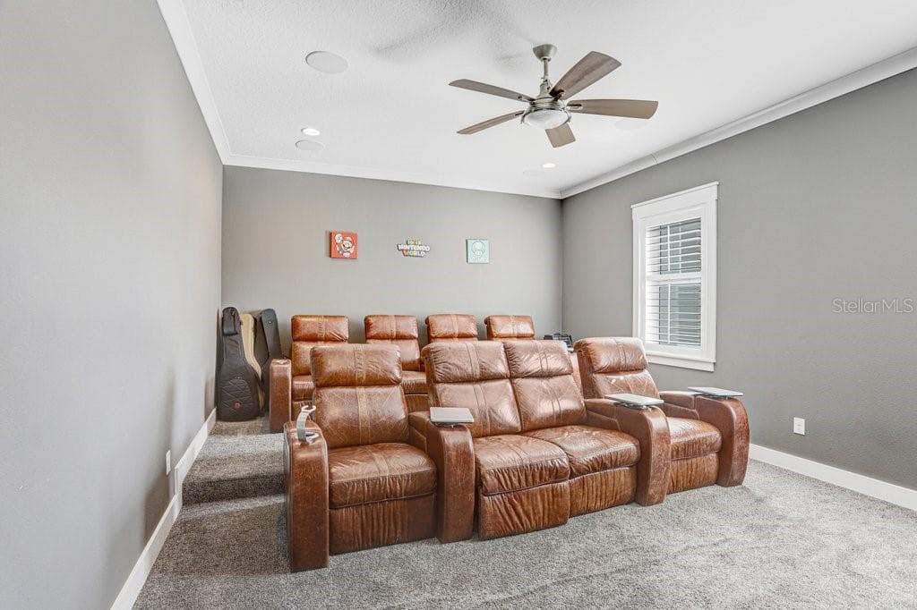 Theater Room - 11634 DAVIS POOL RD, SEFFNER