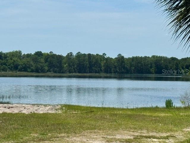 Lake view - 17819 PALM ST, UMATILLA