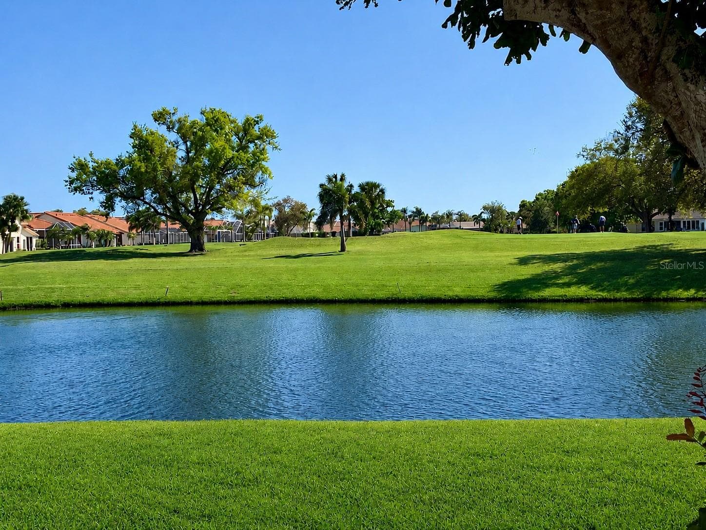 Lake and Fairway 6 from the lanai. - 4310 MURFIELD DR E, BRADENTON