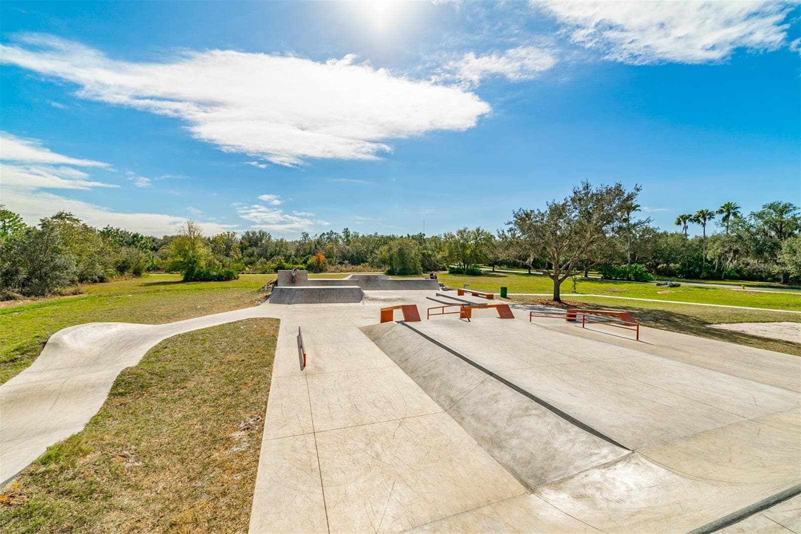 The Skate Park - 6302 BRIDGEVISTA DR, LITHIA