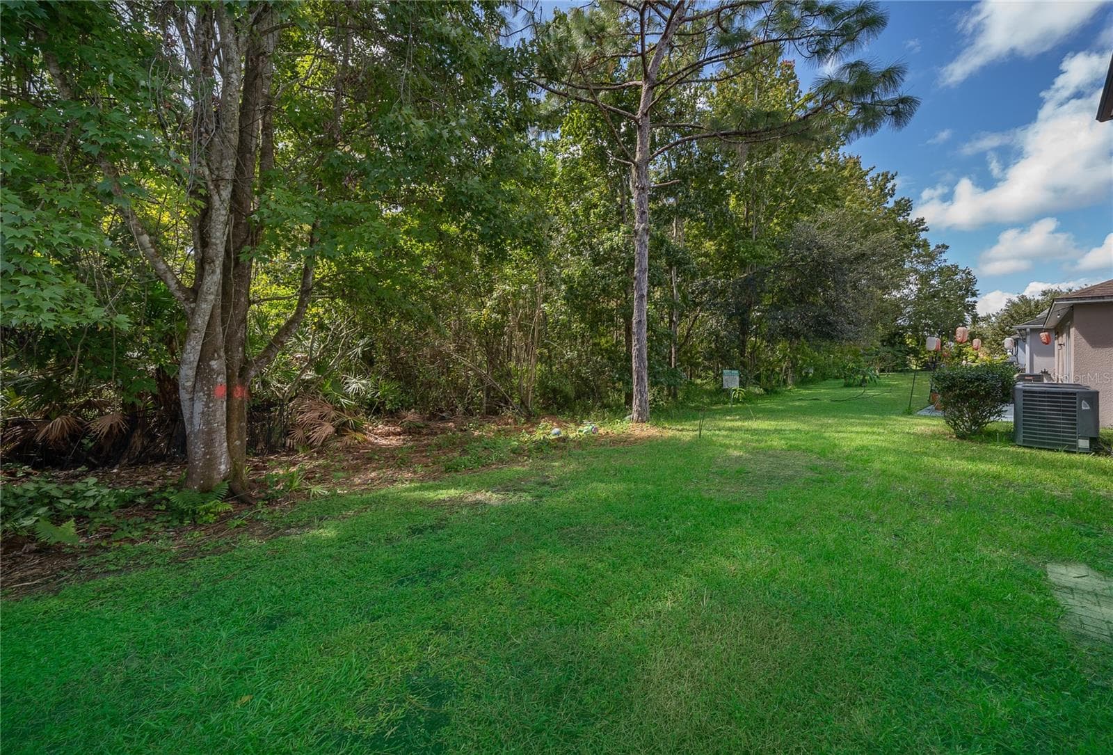 Single Family Residence at 9808 BENNINGTON CHASE DR, ORLANDO, photo 23 of 25
