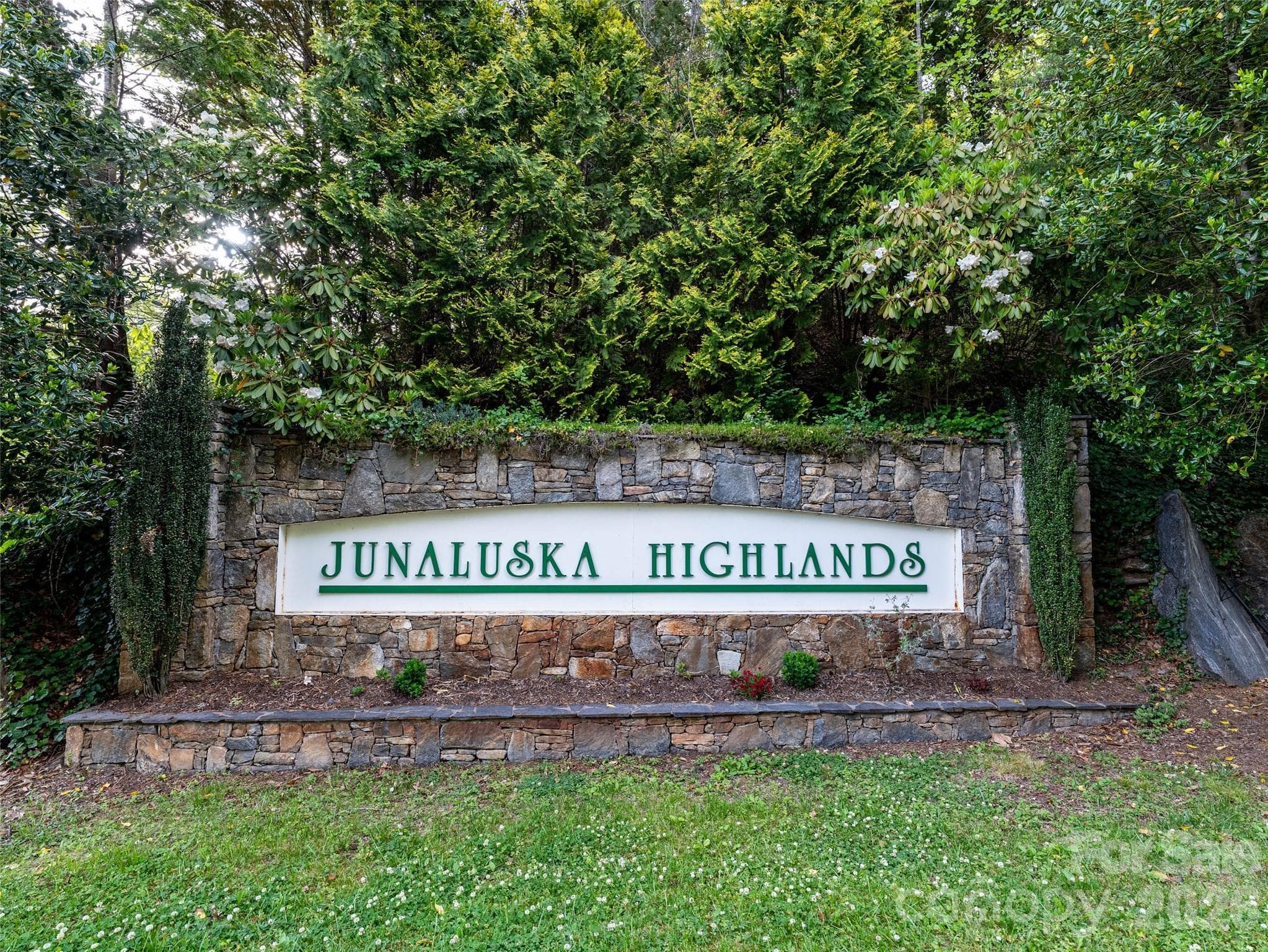 Lot at Waynesville, photo 5 of 14
